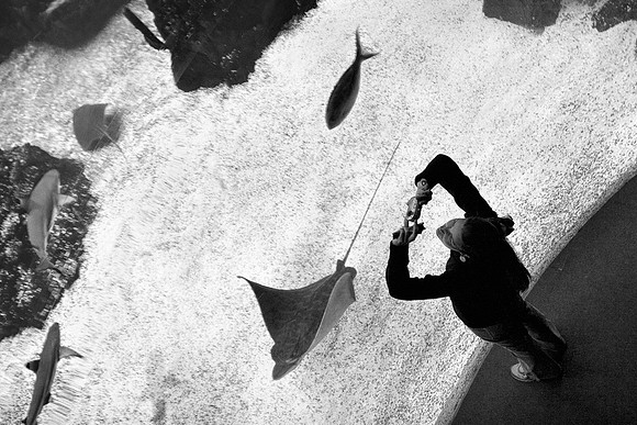 Acqua Imaging